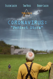 Coronavirus: Perfect Storm