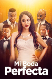 Mi boda perfecta