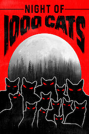 Night of 1000 Cats