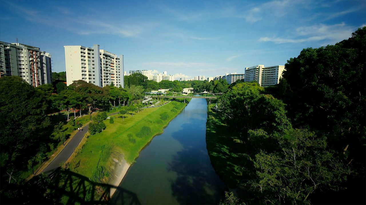 Wild City - River World