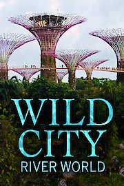 Wild City - River World