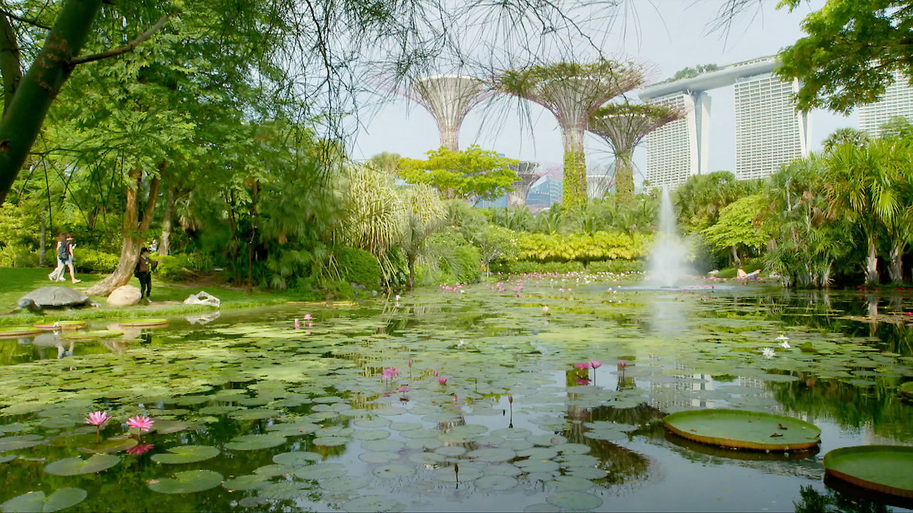 Wild City - Secret World