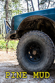 Pine Mud