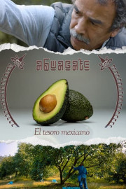 Aguacate: el tesoro mexicano