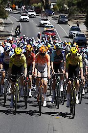 Cadel's Criterium