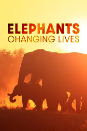 Elephants: Changing Lives