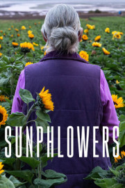 Sunphlowers