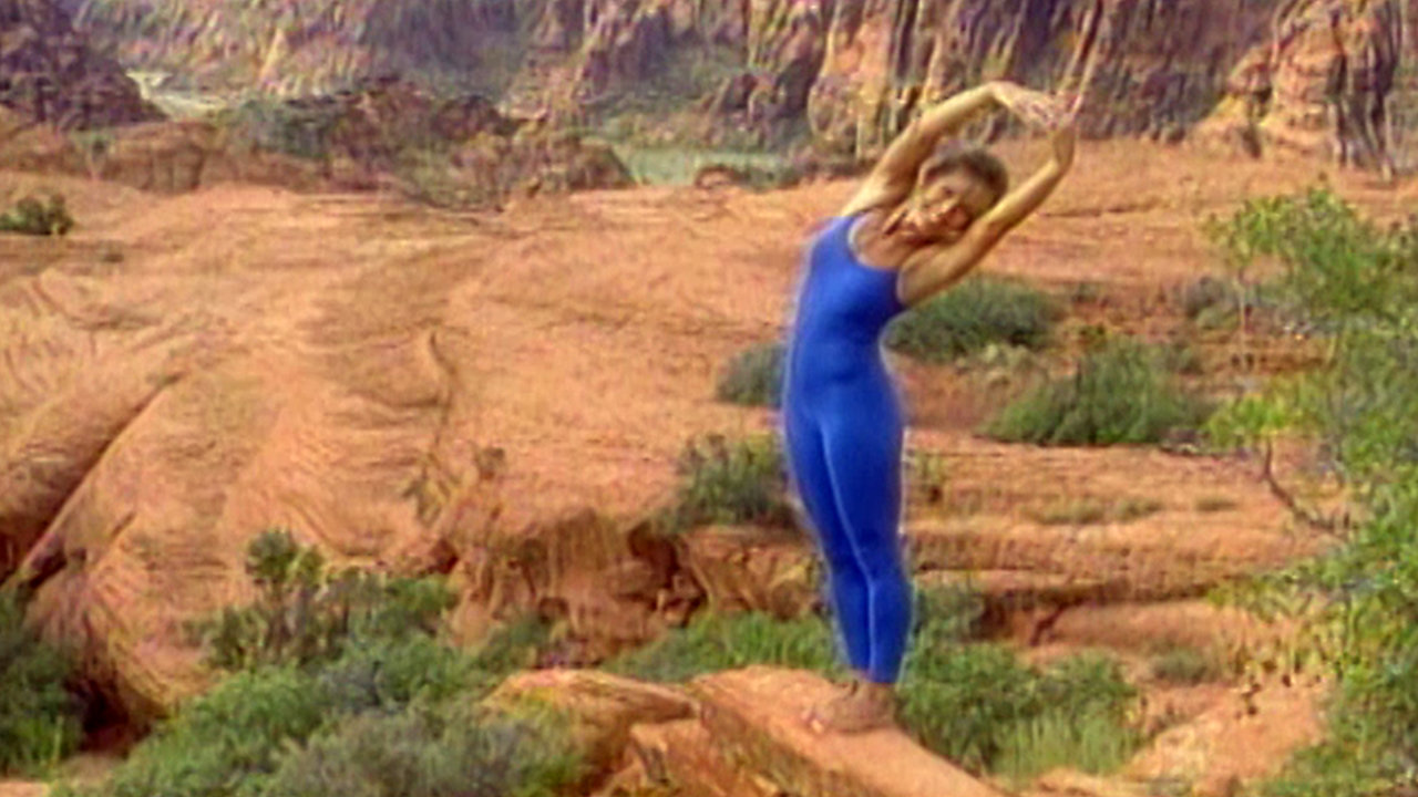 Denise Austin: Xtralite Beginner's Yoga Essentials