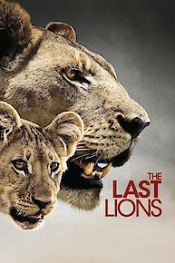 The Last Lions