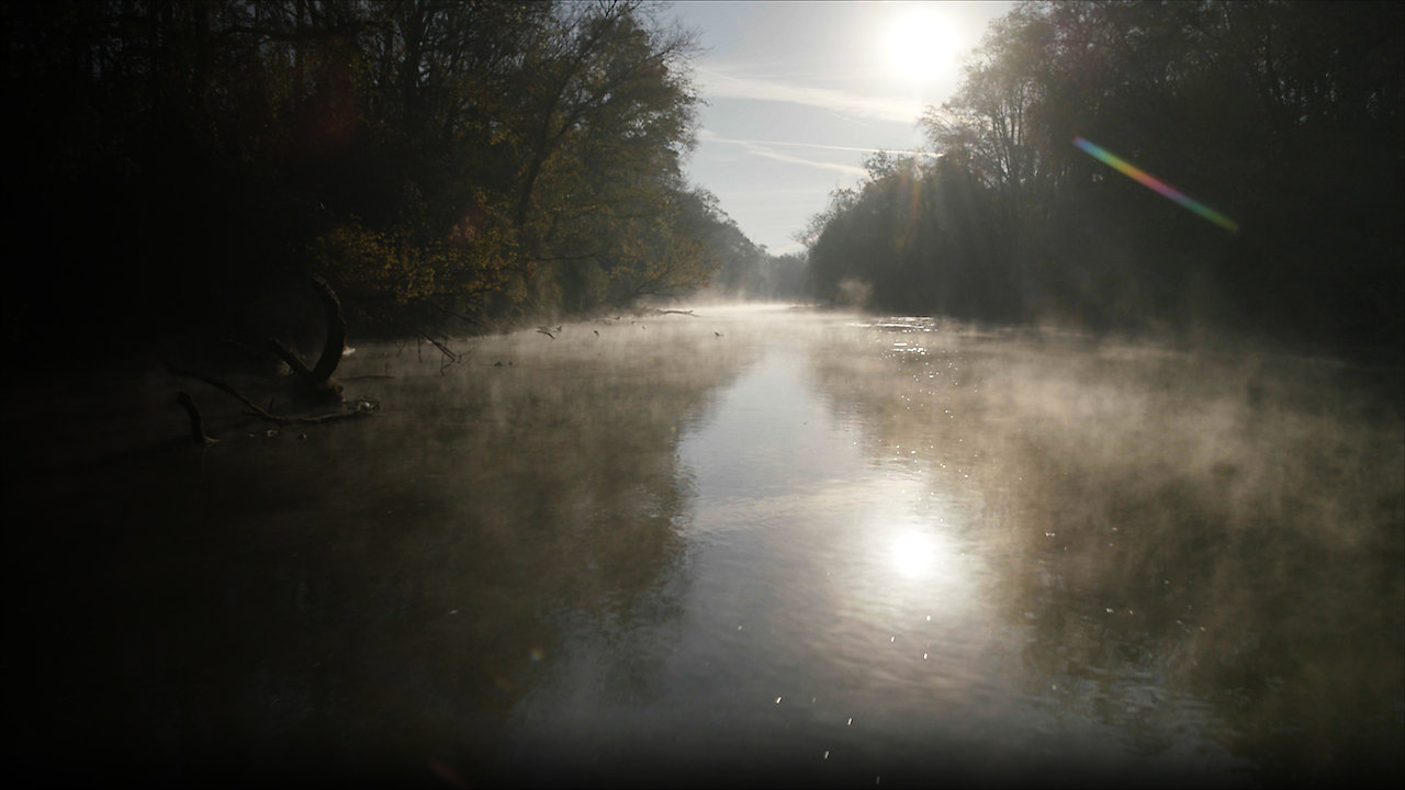 Contaminated: The Carpet Industry's Toxic Legacy