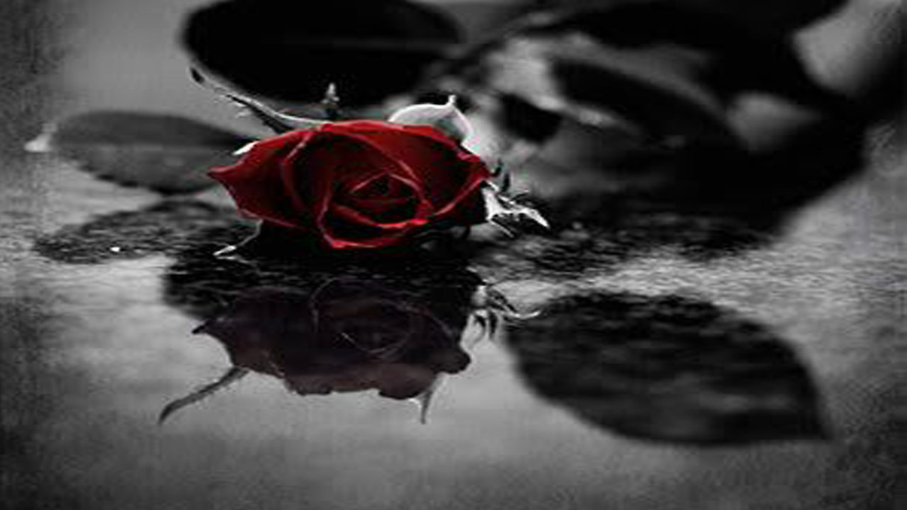 The Scent of Betrayal