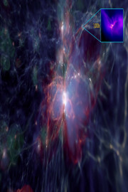 Birth of a Black Hole