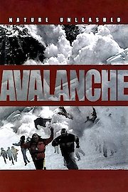 Avalanche: Nature Unleashed