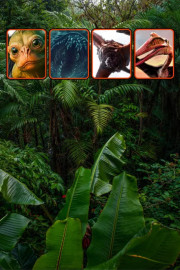 Every Creature in Predator: Badlands Explained | Marvelous Videos | Creators Collection