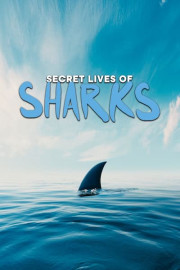 Secret Lives of Sharks