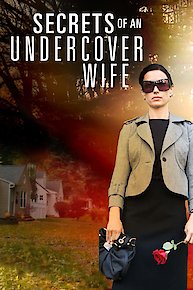 Secrets of an Undercover Wife