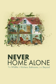 Never Home Alone: The Wildlife of Kitchens, Bathrooms, and Beyond