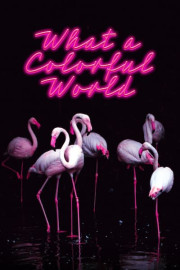 What a Colorful World