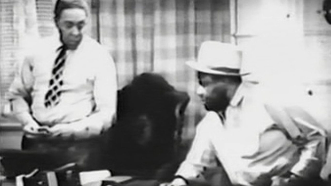 Two Gun Man from Harlem