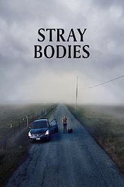 Stray Bodies