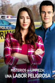 Misterios de limpieza: una labor peligrosa