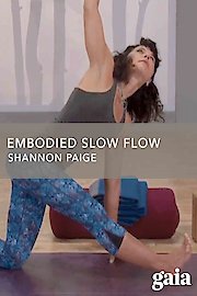 Embodied Slow Flow