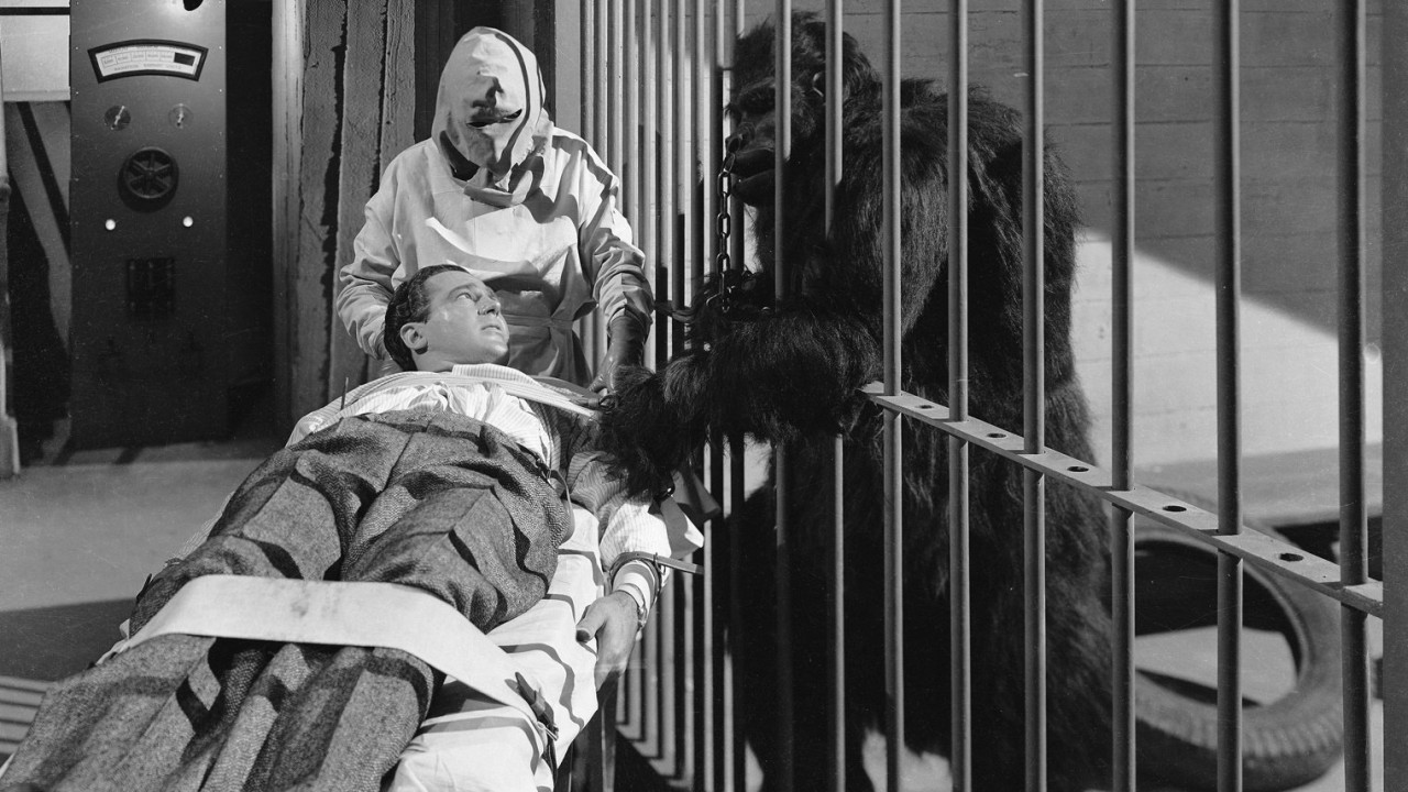 The Strange Case of Dr. Rx