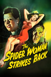 The Spider Woman Strikes Back