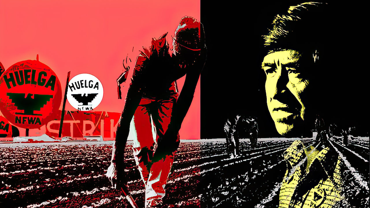 The Fight in the Fields