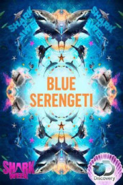 Blue Serengeti