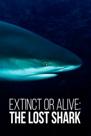 Extinct or Alive: The Lost Shark