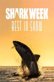 SW21: Shark Week Best In Show