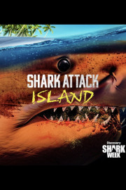 SW24: Shark Attack Island