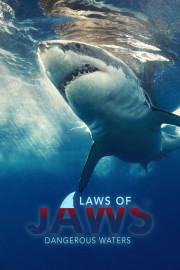 The Laws of Jaws