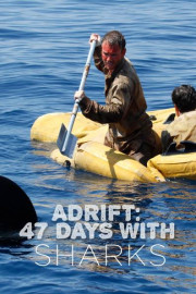 Adrift: 47 Days With Sharks