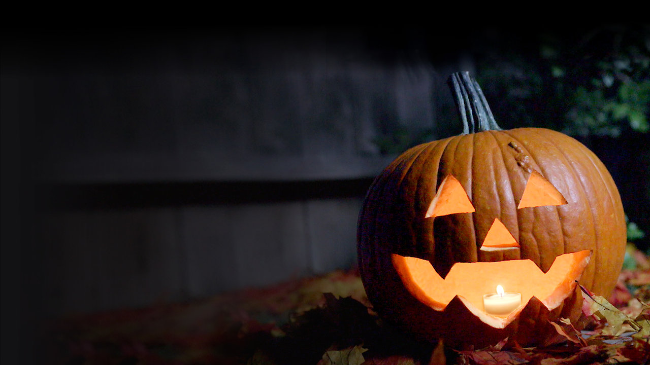 The Ghoul Log