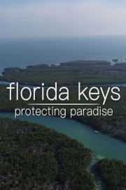 Florida Keys: Protecting Paradise
