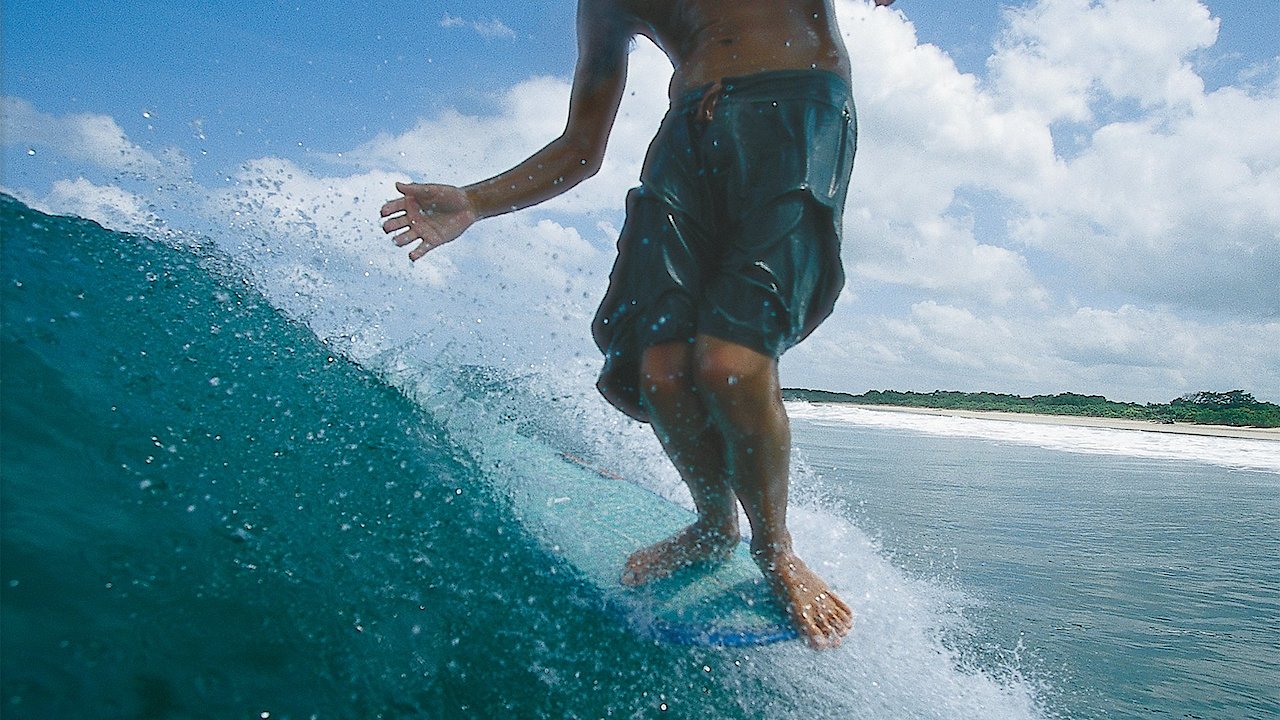 Wordz - A longboarding Lexicon