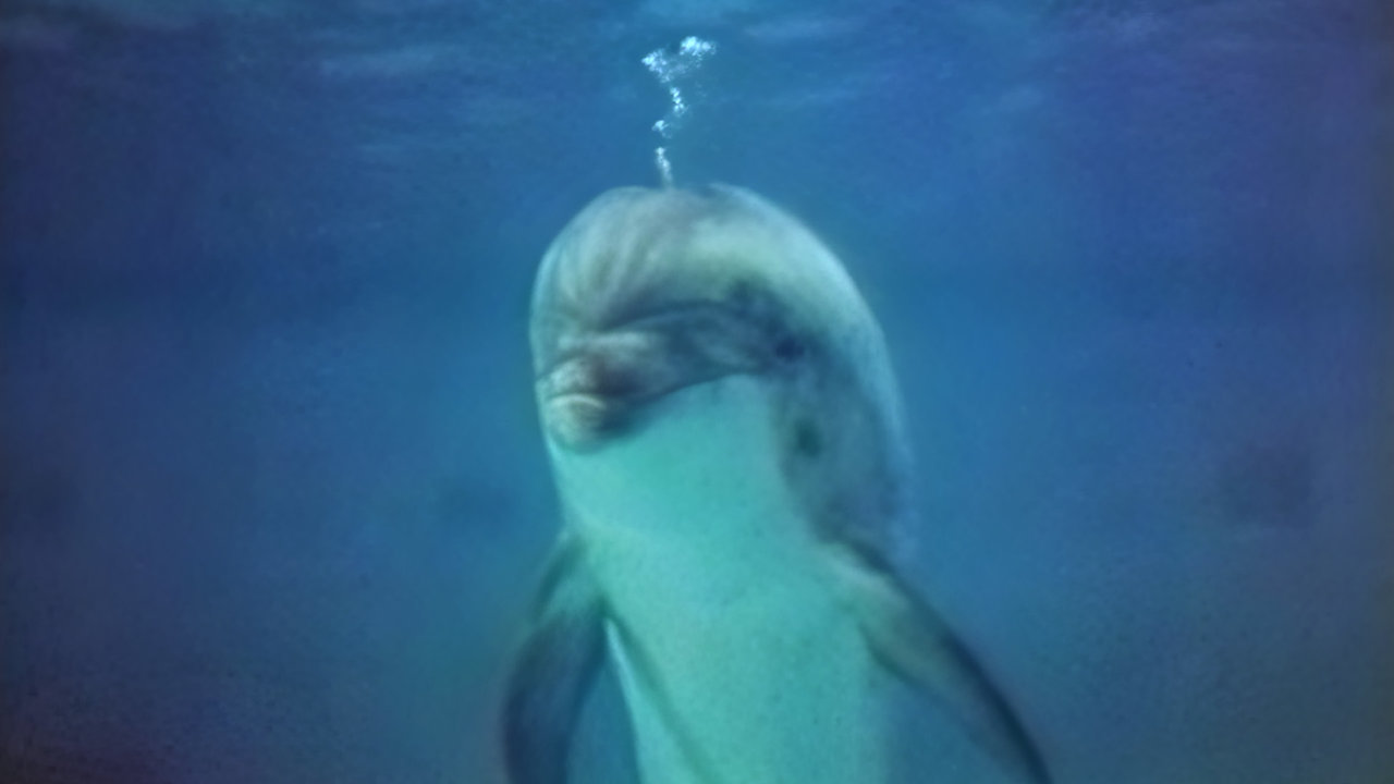 John Lilly and the Earth Coincidence Control Office