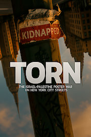 Torn: The Israel-Palestine Poster War
