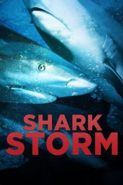 Shark Storm