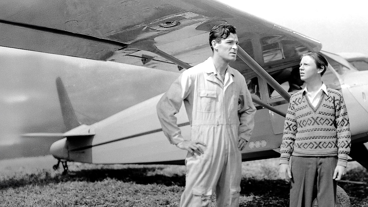 Henry Aldrich for President