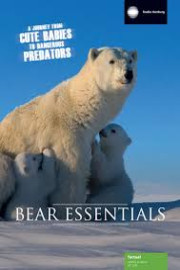 Bear Essentials