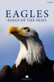 Eagles: Kings Of The Skies