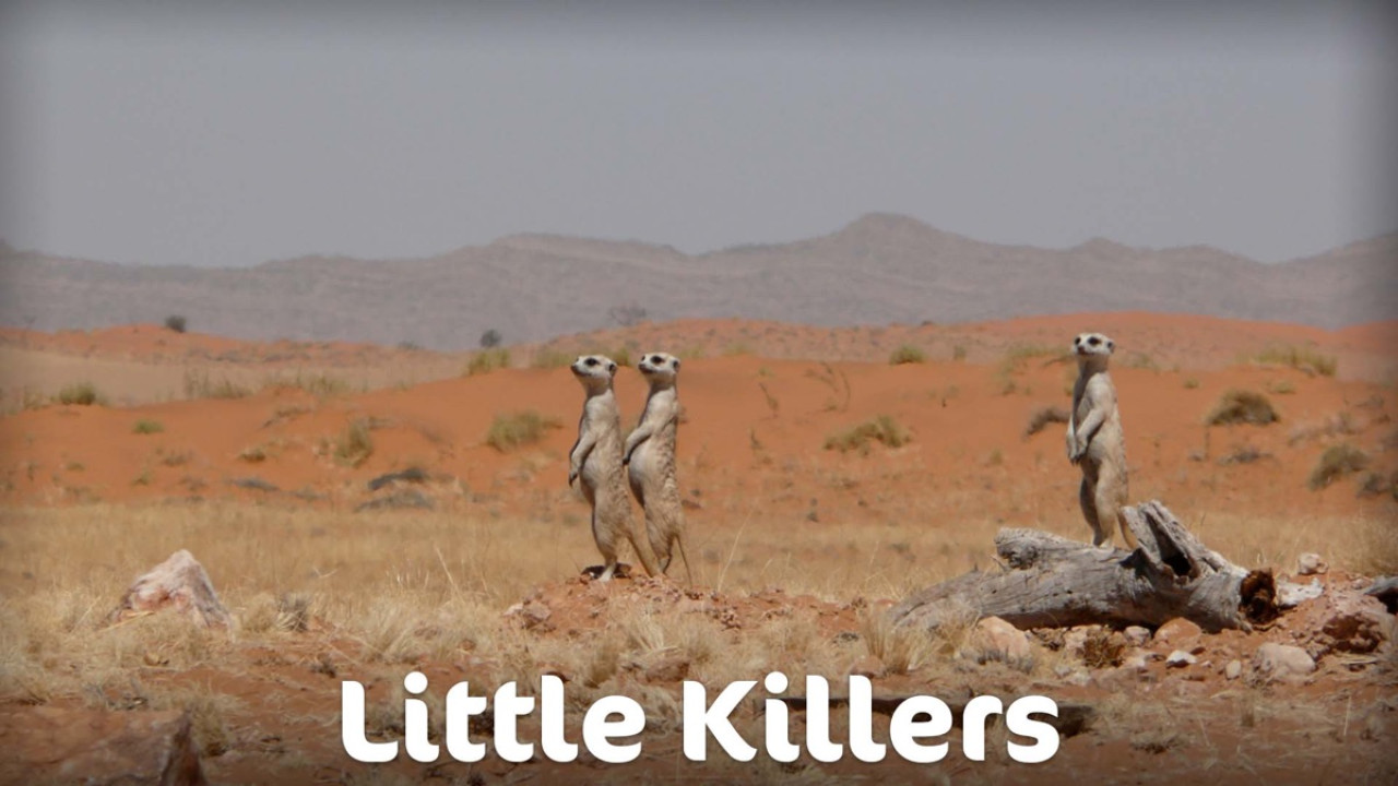 Little Killers