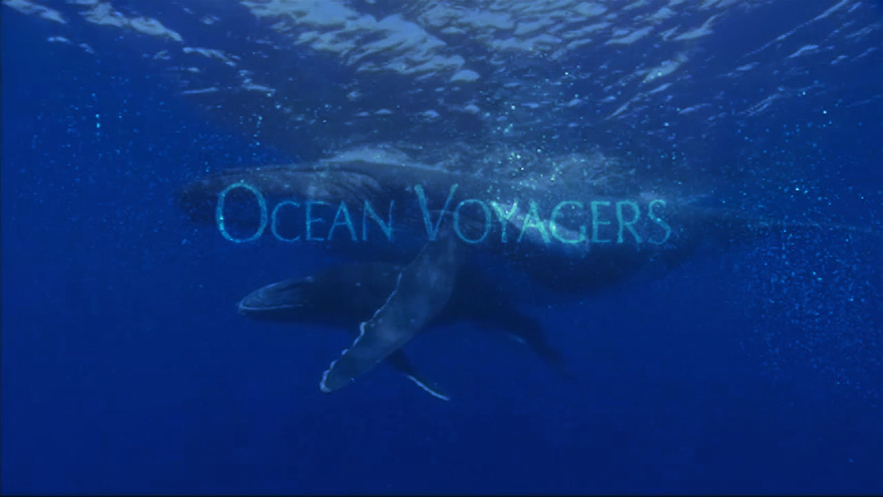 Ocean Voyagers