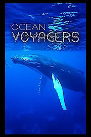 Ocean Voyagers