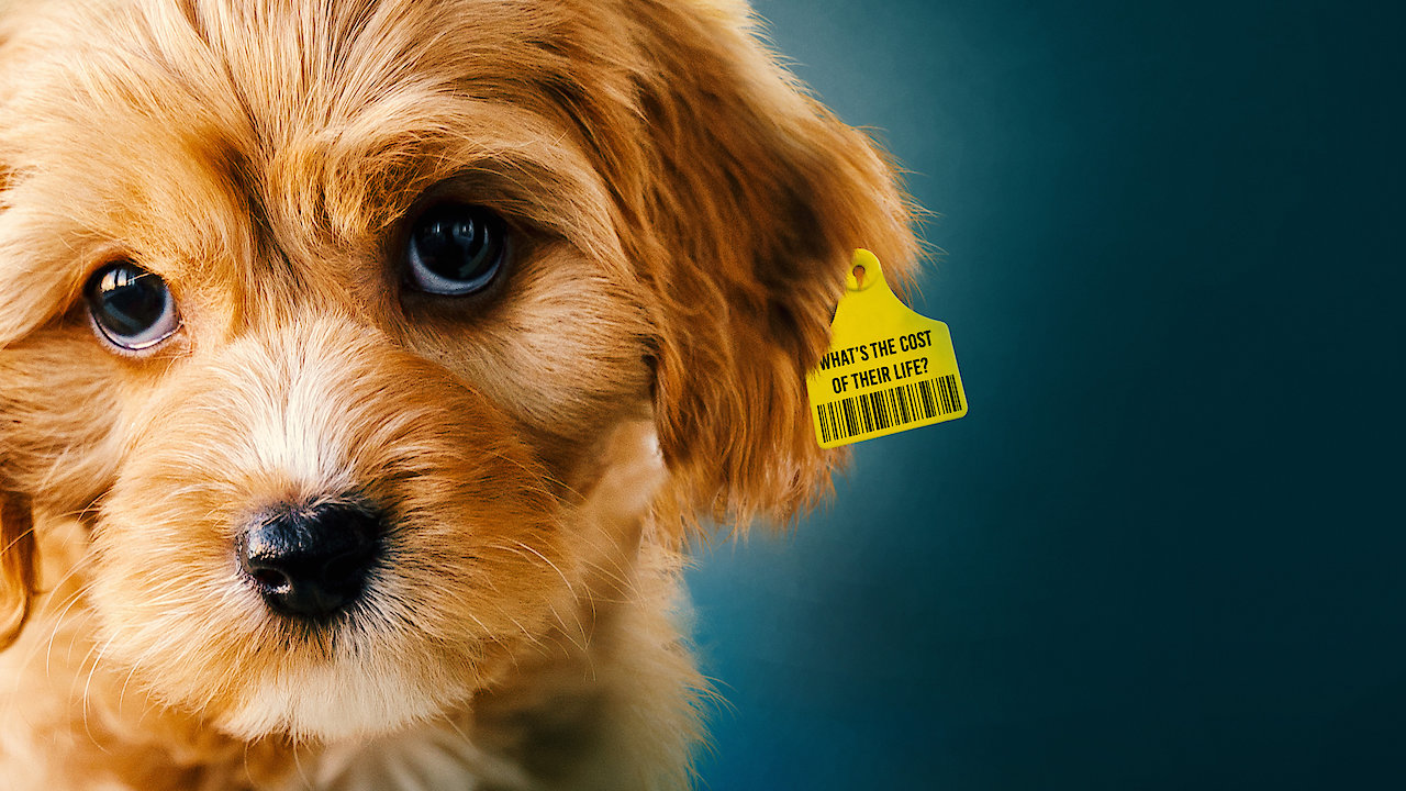 Dogspiracy