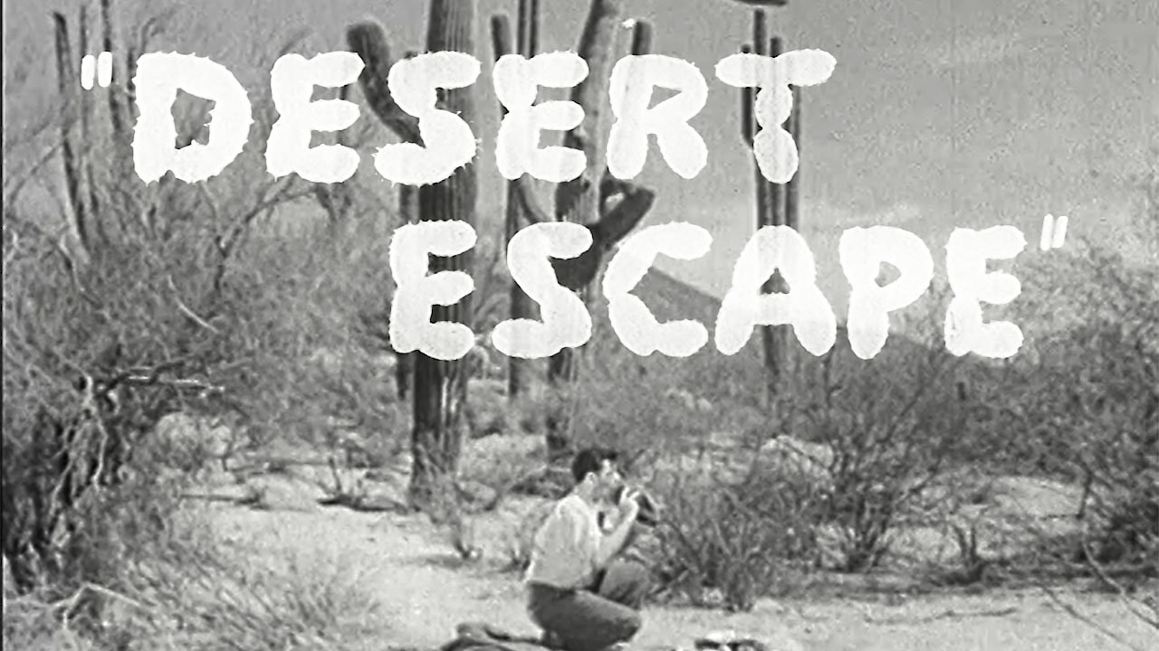 Desert Escape
