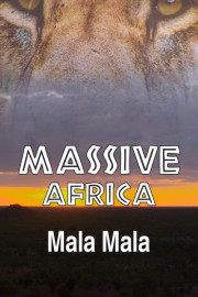 Massive Africa: Mala Mala